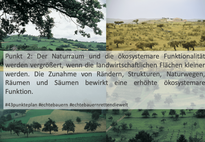 66165599_346281956050925_8121796733127622656_n