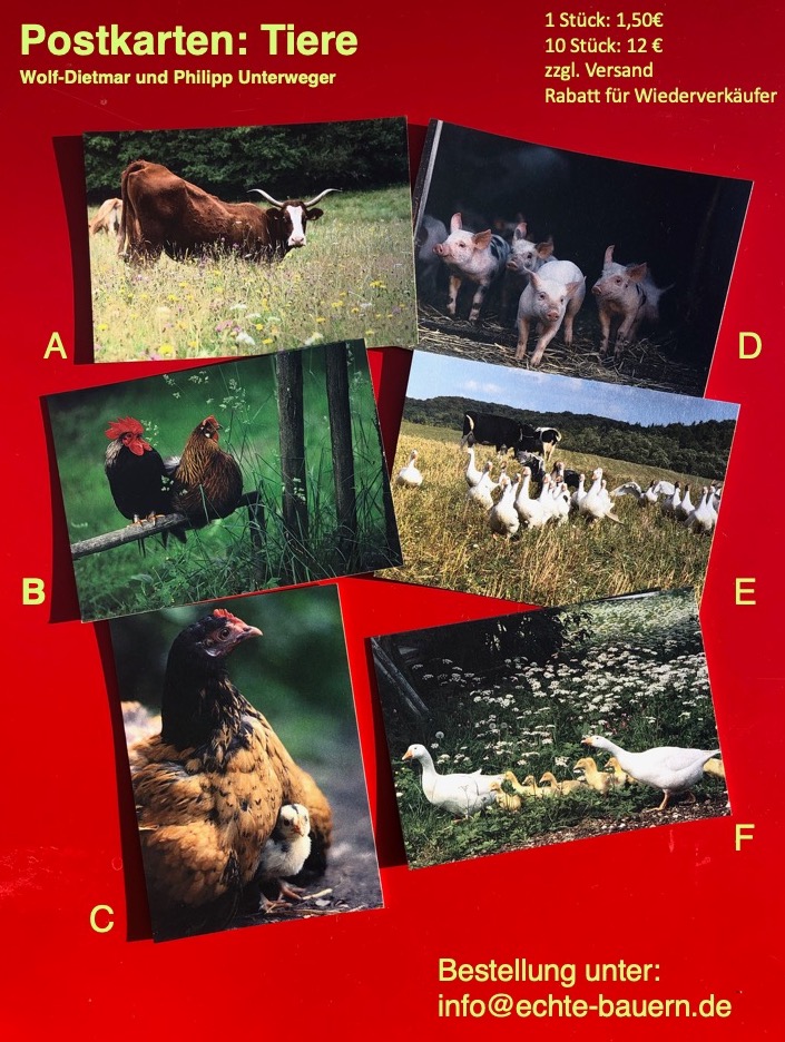 Postkarten_Tiere