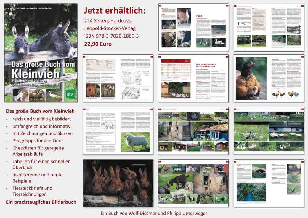Das Kleinviehbuch einseitiger Flyer kleiner
